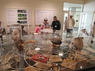 ふじのくに地球環境史ミュージアムを見学している入居者様たち