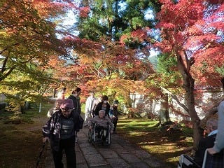 足久保のお寺の鮮やかな紅葉