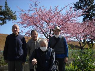 満開の美和桜と入居者の記念写真