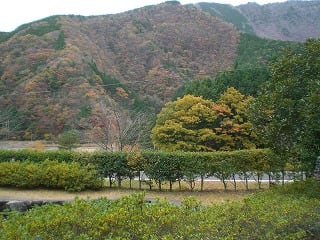 紅葉が色づいている梅ヶ島の景色